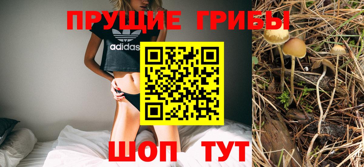 Псилоцибиновые грибы прущие грибы Гурьевск