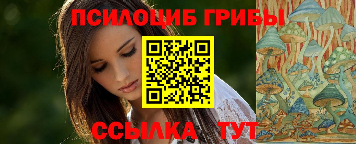 Псилоцибиновые грибы GOLDEN TEACHER  Галлюциногенные грибы прущие грибы  Гурьевск  Вход с VPN 